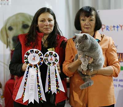   22-23  2014,     22-23  2014    169A8396 copy.jpg